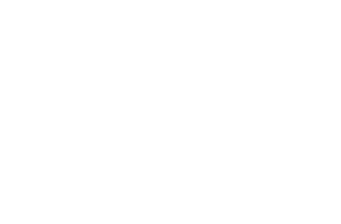 Willis & Geiger Logo Eagle