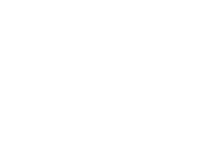 Willis & Geiger Logo Lion